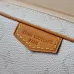 Louis Vuitton Monogram Canvas Crossbody Bags in Dual - Tone Color Schemes size:13×6.5×20cm #A53901