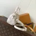 LV Handbags  Nano Speedy M25591 #A56017