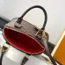 Louis Vuitton Damier Ebene Alma BB Handbag Timeless Checkerboard Design for Luxury Lovers #A50099