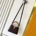Louis Vuitton Capucines Handbag Collection In Timeless Neutral Tones #A51645