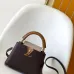 Louis Vuitton Capucines Handbag Collection In Timeless Neutral Tones #A51645