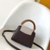 Louis Vuitton Capucines Handbag Collection In Timeless Neutral Tones #A51645