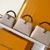 Louis Vuitton Capucines Handbag Collection In Timeless Neutral Tones #A51645