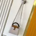 Louis Vuitton Capucines Handbag Collection In Timeless Neutral Tones #A51645