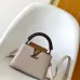 Louis Vuitton Capucines Handbag Collection In Timeless Neutral Tones #A51645