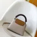 Louis Vuitton Capucines Handbag Collection In Timeless Neutral Tones #A51645