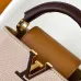 Louis Vuitton Capucines Handbag Collection In Timeless Neutral Tones #A51645