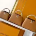 Louis Vuitton Capucines Handbag Collection In Timeless Neutral Tones #A51645