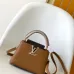 Louis Vuitton Capucines Handbag Collection In Timeless Neutral Tones #A51645