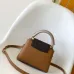 Louis Vuitton Capucines Handbag Collection In Timeless Neutral Tones #A51645