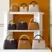 Louis Vuitton Capucines Handbag Collection In Timeless Neutral Tones #A51645