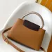 Louis Vuitton Capucines Handbag Collection In Diverse Colorways And Textures #A51212