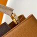 Louis Vuitton Capucines Handbag Collection In Diverse Colorways And Textures #A51212