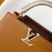 Louis Vuitton Capucines Handbag Collection In Diverse Colorways And Textures #A51212