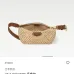 Louis Vuitton Crochet Straw Baguette Bag With Leather Handle Accents size:18×11×6cm #A54068