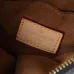 Louis Vuitton Monogram Canvas Crossbody Bags In Classic And Colorful Editions #A50540