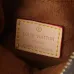 Louis Vuitton Monogram Canvas Crossbody Bags In Classic And Colorful Editions #A50540