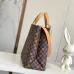 Louis Vuitton Colorful Damier Canvas Tote Bag With Brand Emblem And Charm #A51007