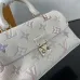 Louis Vuitton Pastel Monogram Mini Handbag With Chain Strap And Signature Lock size:21×12×6cm #A54322