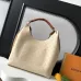 Louis Vuitton Sac Carmel Handbag With Chip #A54892