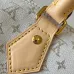 Louis Vuitton Mini Speedy Bag In Light Monogram Canvas With Leather Trim And Strap #A50833