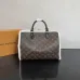 Louis Vuitton Women's Handbag Speedy Soft 30 Teddy M26326 #A57321