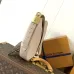 LV Shoulder Bags Low Key Cookie M14642 #A56020