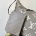 Stylish Louis Vuitton Moon - Shaped Handbags In Diverse Colors And Patterns For Fashion Enthusiasts #A49956