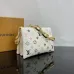 Louis Vuitton 1:1 Handbags AAA 1:1 Quality #A29155