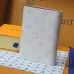 Louis Vuitton M15075 Chip Version Passport Cover - White/Blue Monogram Pattern #A59467