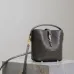 Saint Laurent Lizard - Embossed Leather Bucket Bag With Gold YSL Logo size:15×13×6cm #A53703