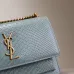 Saint Laurent Python - Embossed Leather Crossbody Bag With Gold YSL Logo size:22×8×6cm #A53694
