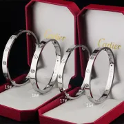 Cartier Bracelets #9111428