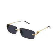 Cartier AAA+ Sunglasses #A31538
