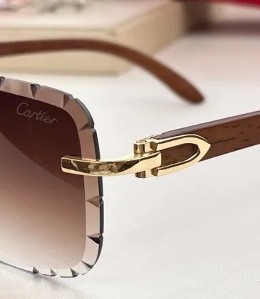 Cartier AAA+ Sunglasses #999933744