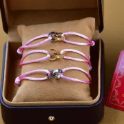 Cartier Jewelry Bracelets hand ropes colors  golden and sliver #A27249