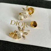 Dior Earrings #A52945