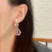 Dior Tribales Gradient Logo Earrings #A50089