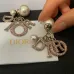 Dior Tribales Gradient Logo Earrings #A50089