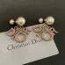 Dior Tribales Gradient Logo Earrings #A50089