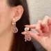 Dior Tribales Gradient Logo Earrings #A50089