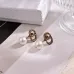 Dior Tribales Gradient Logo Earrings #A50090