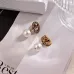 Dior Tribales Gradient Logo Earrings #A50090