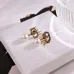 Dior Tribales Gradient Logo Earrings #A50090