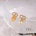 Dior Tribales Gradient Logo Earrings #A50091