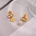 Dior Tribales Gradient Logo Earrings #A50091