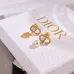 Dior Tribales Gradient Logo Earrings #A50091