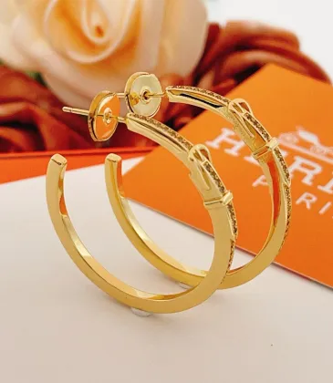 Hermes earrings Jewelry #A65291