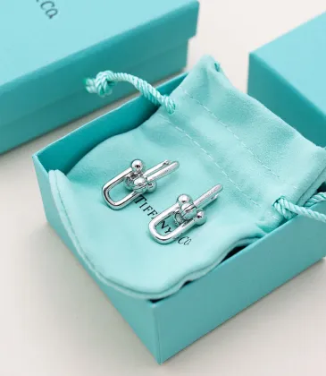 Tiffany Designer Style earrings  and  original box #A65167