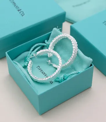 Tiffany Designer Style earrings  and  original box #A65172